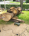 Tag-4_30